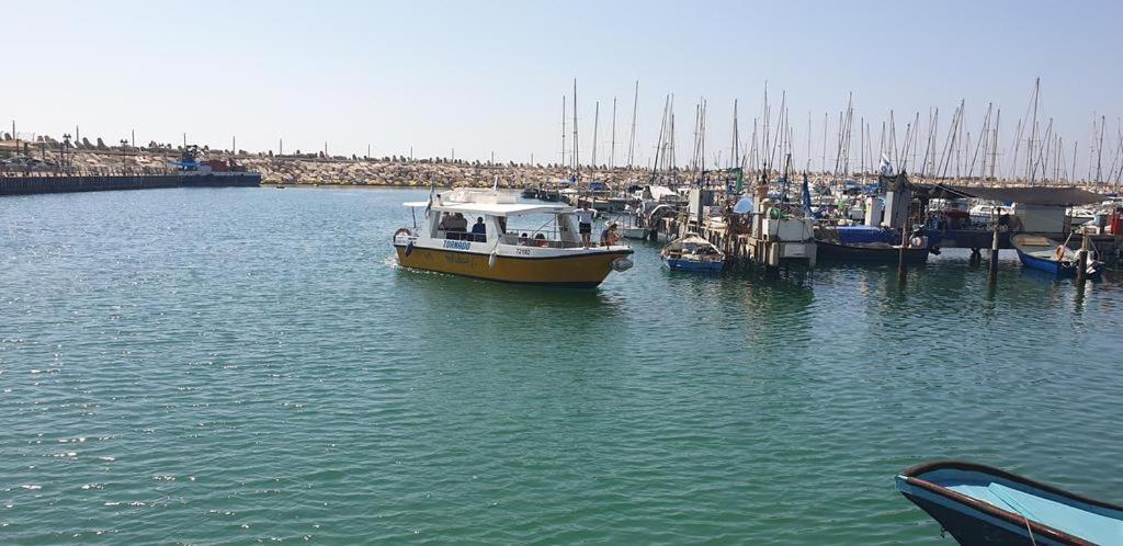 Rotem Suite In Marina Ashklon Ashkelon Eksteriør bilde